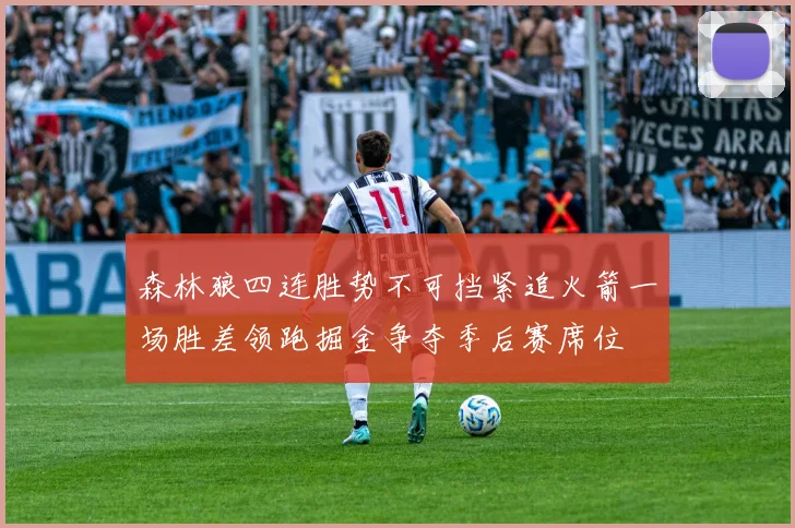 森林狼四连胜势不可挡紧追火箭一场胜差领跑掘金争夺季后赛席位